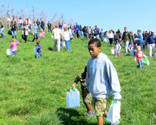 Easter Egg Hunt event on the hill at Carter Mountain Orchard