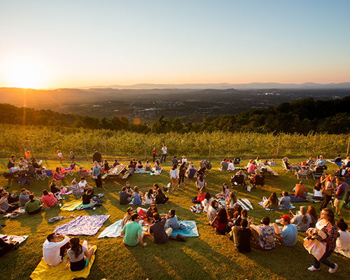 Locals enjoying the sunset and views atop Carter Mountain Orchard during a live music event