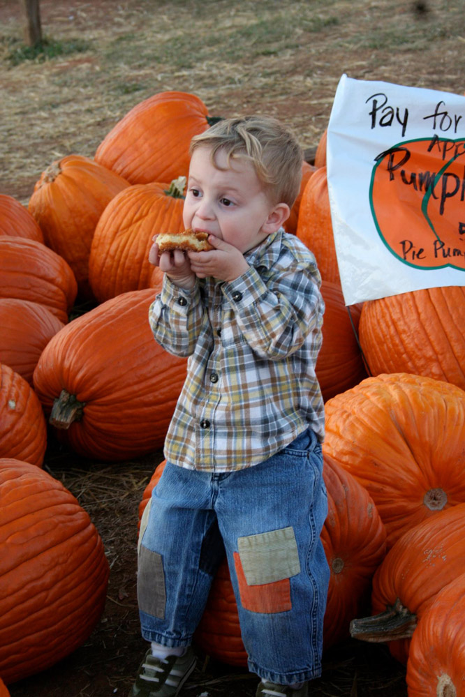 Pumpkins and fresh cider donuts