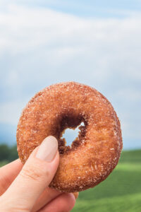 Apple Cider Donuts