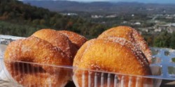 carter mountain orchard donut