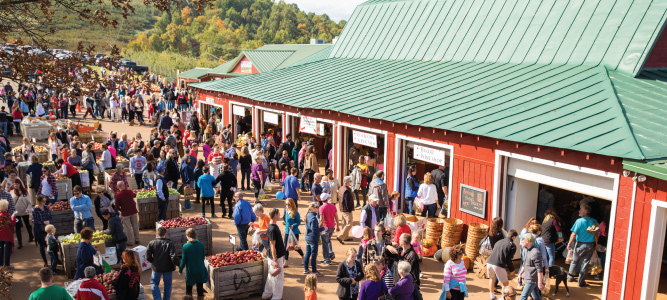 Crowd at Carter Mountain Apple Barn