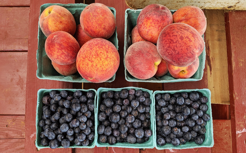 Freshly picked blueberries and peaches at an orchard