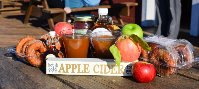 Apples, apple cider, and apple cider donuts at Carter Mountain Orchard in Charlottesville