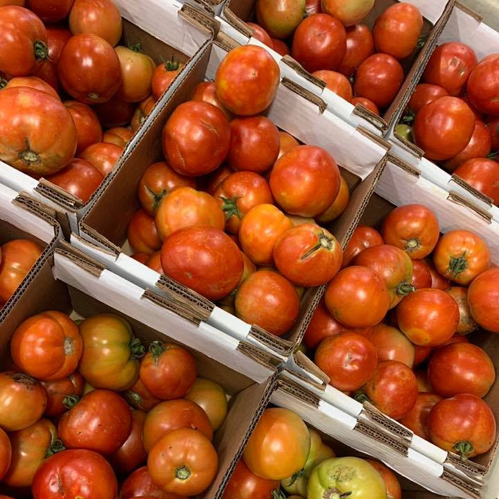 Fresh tomatoes for sale at Chiles Peach Orchard