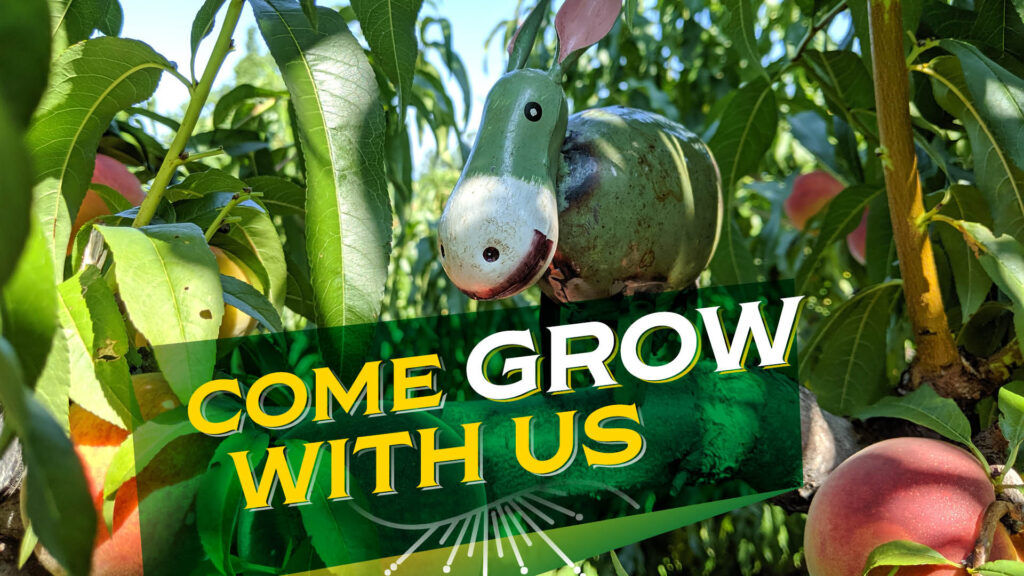 Come Grow with Us children's event at Chiles Peach Orchard