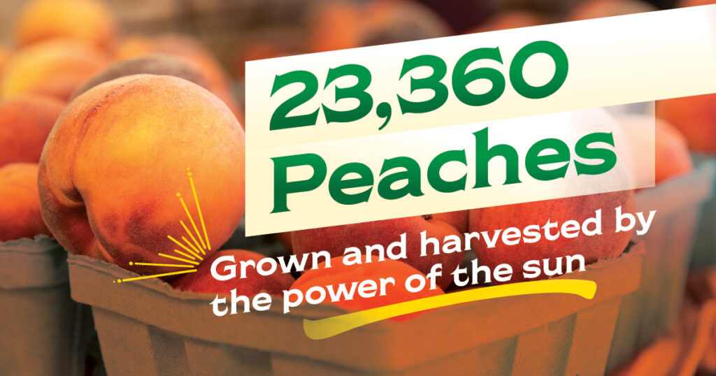 Chiles Family Orchards can produce 23,360 peaches with the power of the sun.