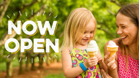Chiles Peach Orchard now open; mom and daughter enjoy soft-serve ice cream