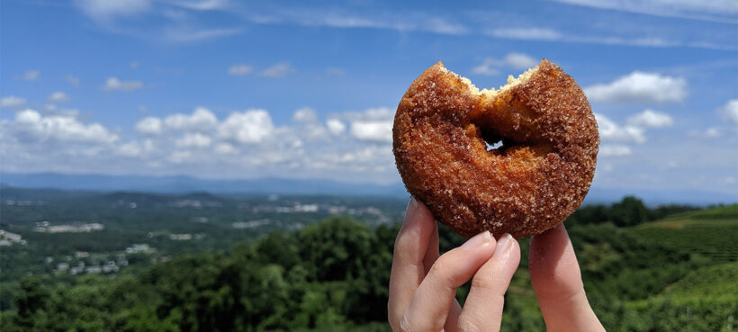 Apple Cider Donut with view from Carter's Mountain