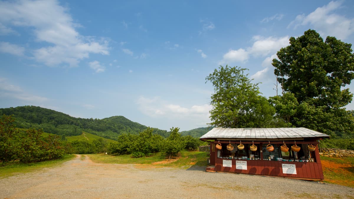 Cherry stand and Blue Ridge Mountains at Spring Valley Orchard