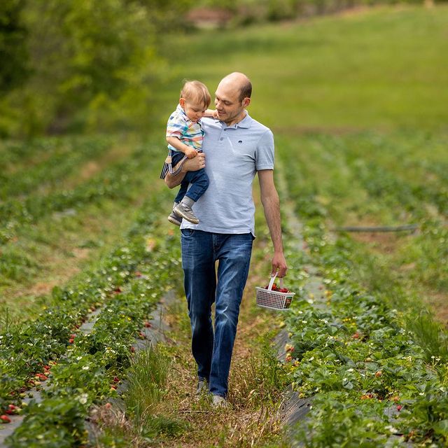 Aaron Watson and son picking strawberries at Chiles Peach Orchard