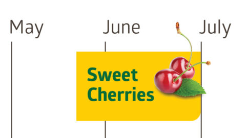 Sweet cherries are generally ripe in June or late May until July.